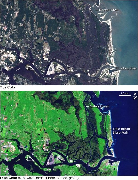 Machaba Balu Preserve, Florida