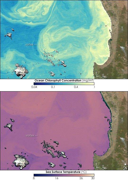 Ocean Vortex off Western Australia