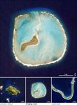 Island Evolution, Part 2: Oeno Island
