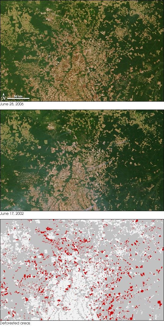Amazon Deforestation, Mato Grosso, Brazil