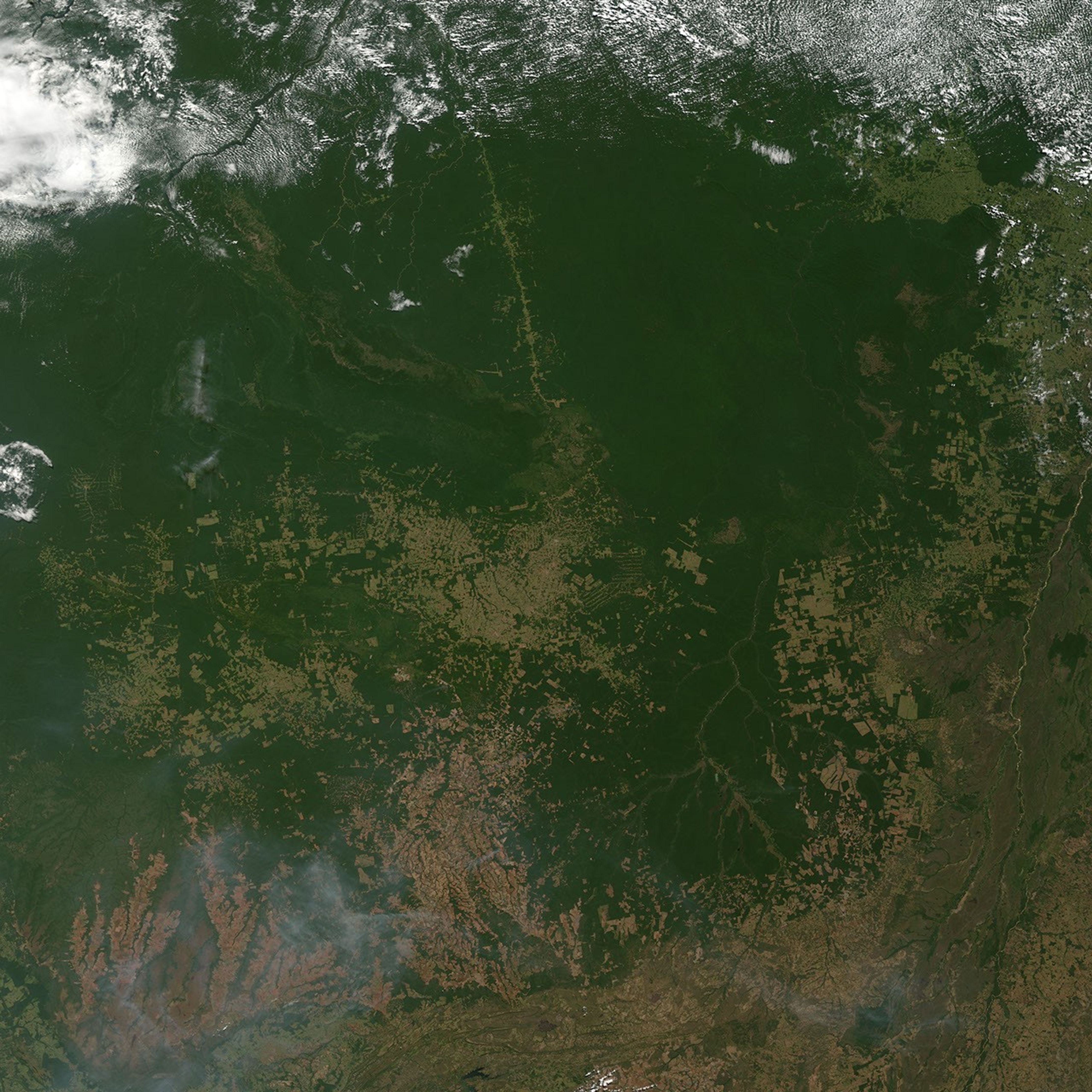 Amazon Deforestation, Mato Grosso, Brazil