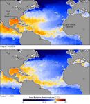 Hurricane-Ready Sea Surface Temperatures