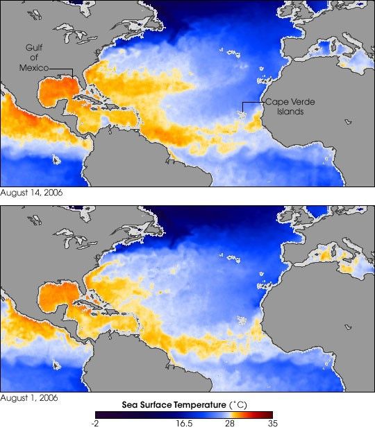 Hurricane-Ready Sea Surface Temperatures