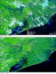 Monsoon Floods in India