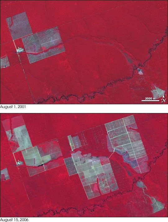 Expanding Deforestation in Mato Grosso, Brazil