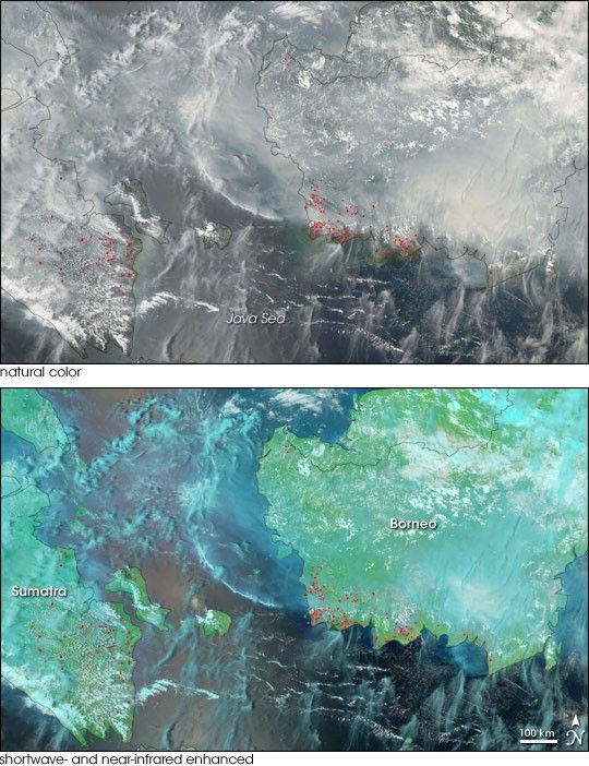 Fires on Borneo and Sumatra