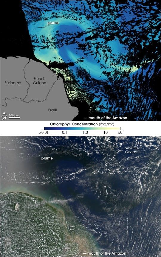 Amazon River in the Atlantic Ocean
