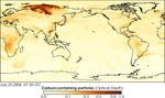 Chemical Weather Forecasts: Carbon-Containing Particles