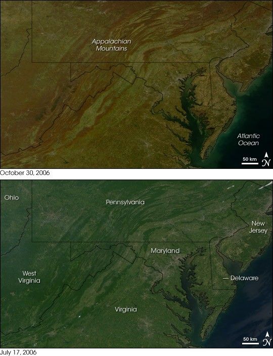 Fall Colors in the Mid-Atlantic