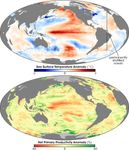 Warming Ocean Slows Phytoplankton Growth