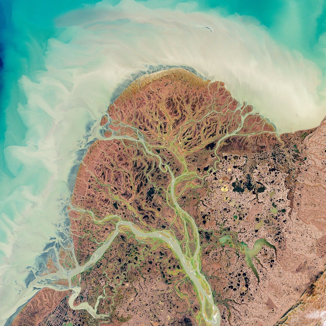 Yukon River delta, Alaska