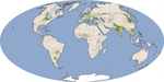 Global Croplands - 2000 - 2008