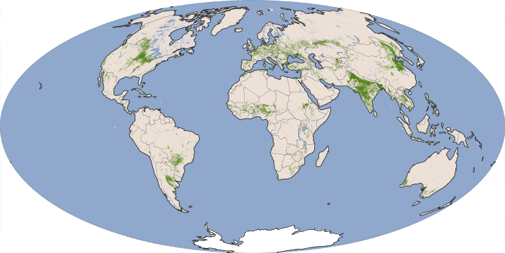 Global Croplands - 2000 - 2008