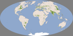Global Croplands - 2000 - 2008