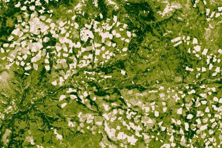 January 1 - December 31, 2000