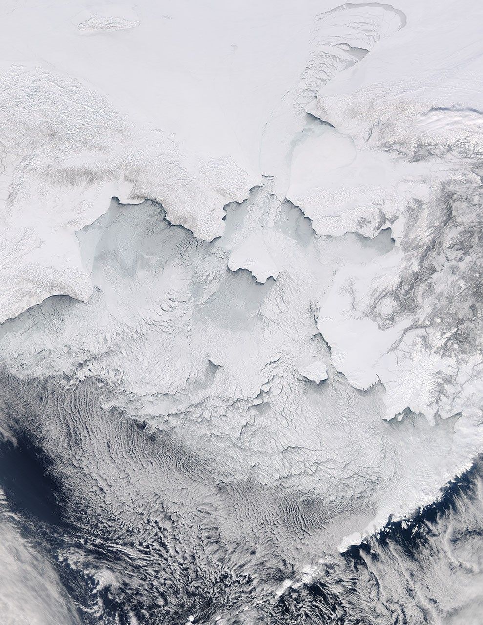 Bering Sea Teeming with Ice