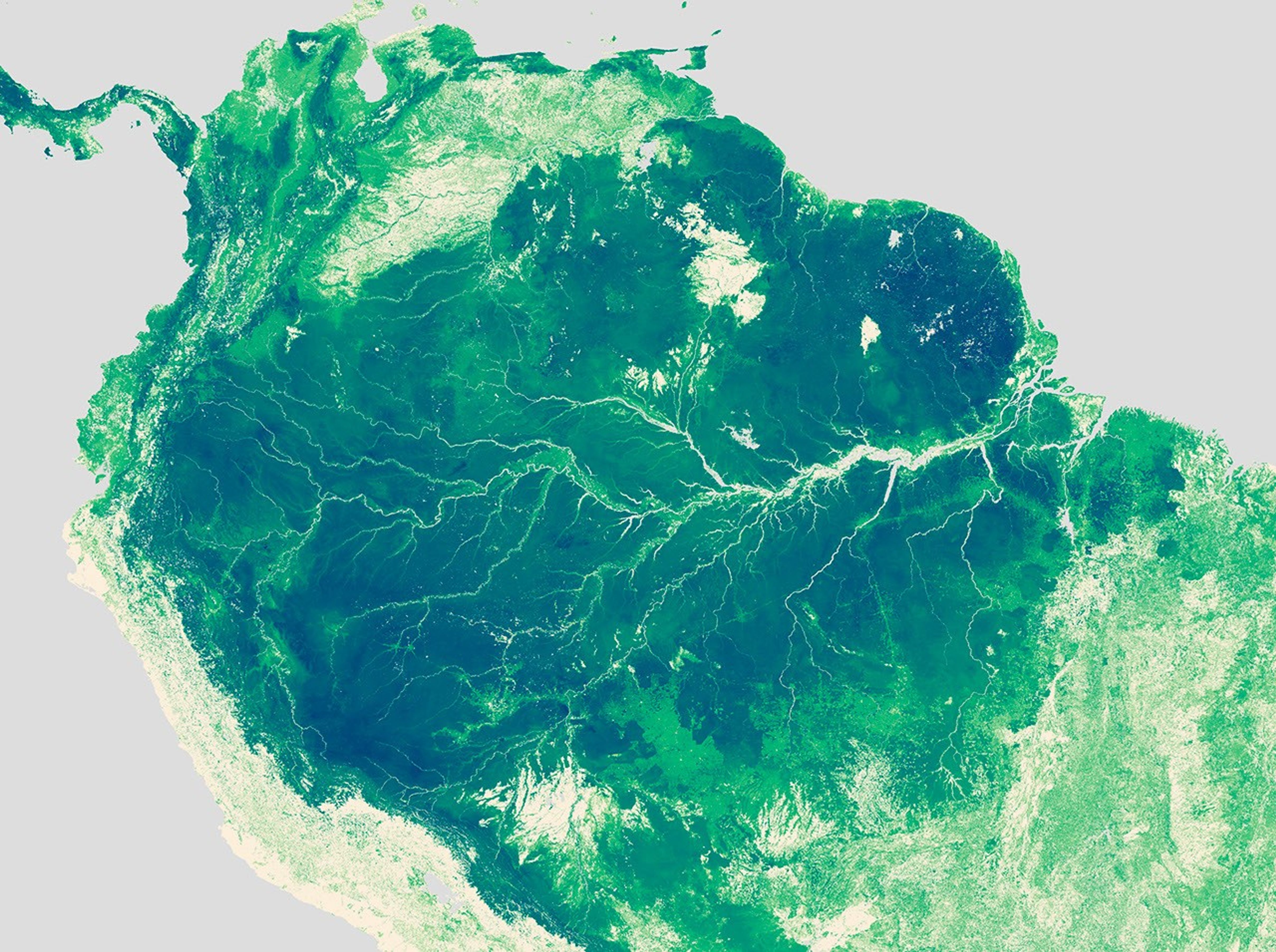 January 1 - December 31, 2005