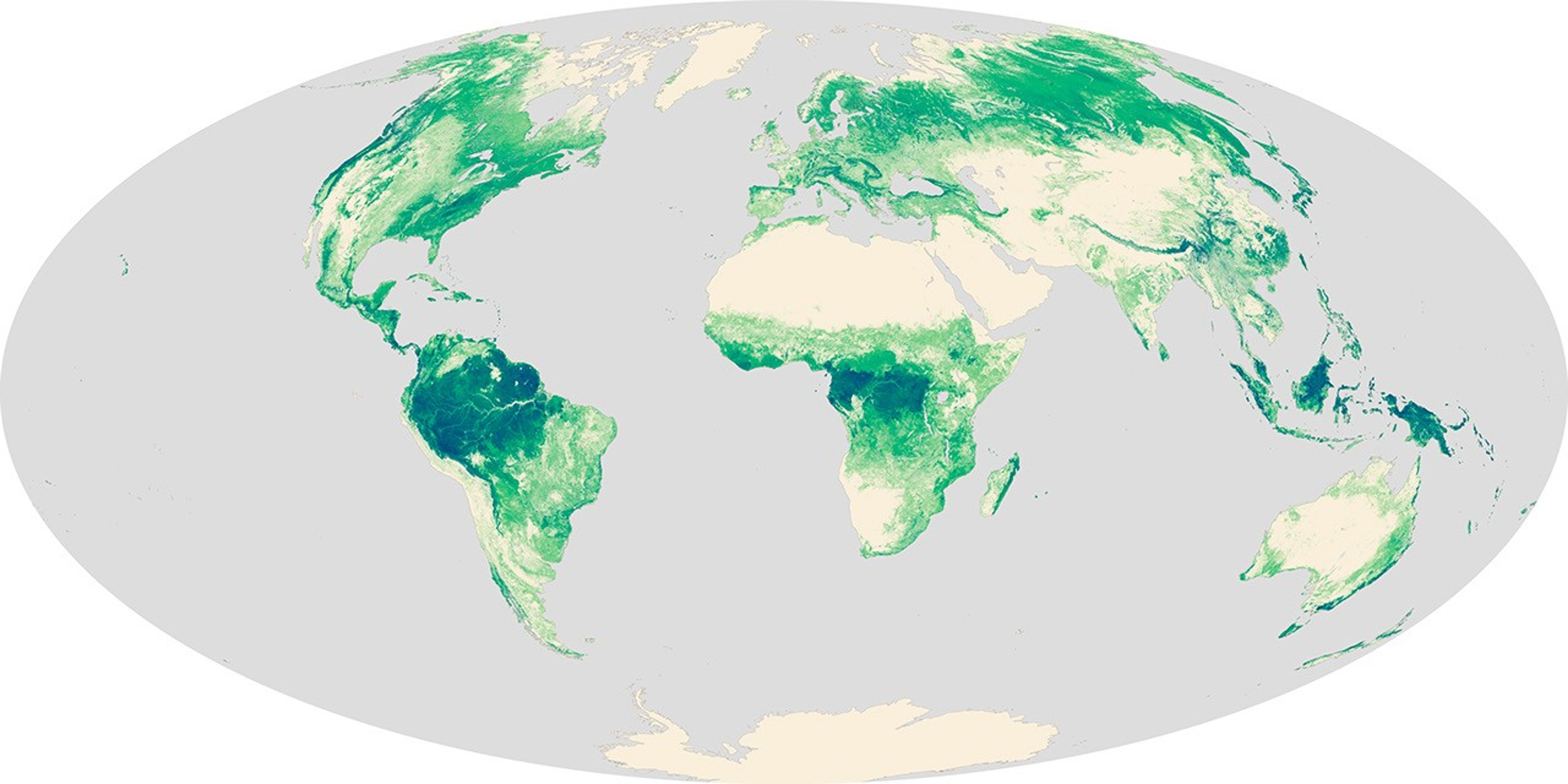 January 1 - December 31, 2005