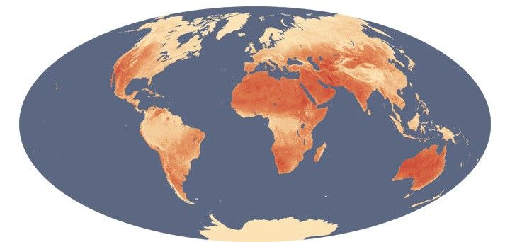 January 1, 2003 - December 31, 2009