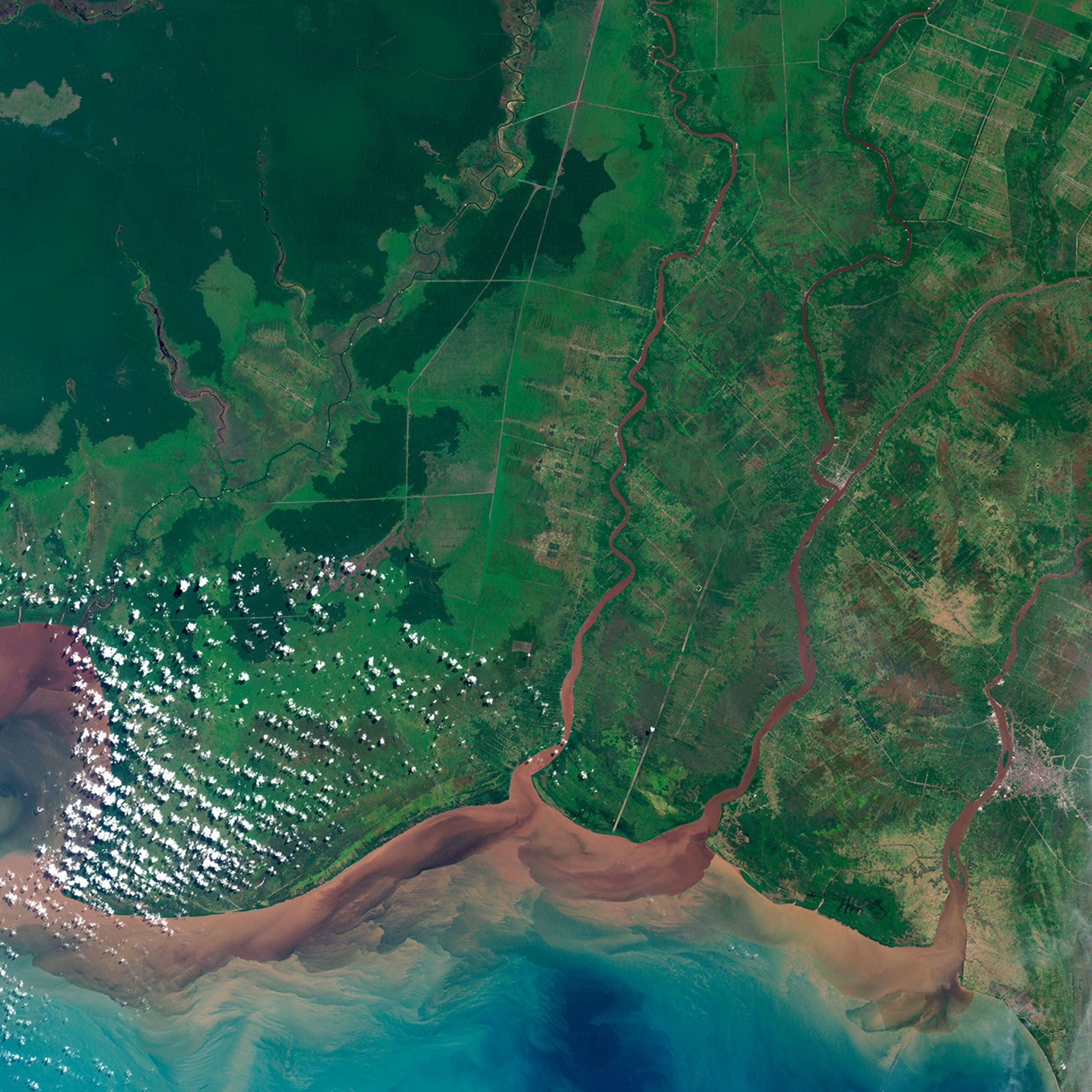 Kalimantan, Borneo, Indonesia