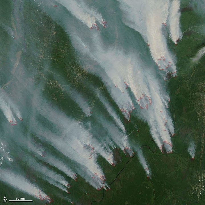 Wildfires in Siberia - NASA Science