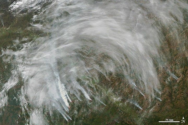 Wildfires in Siberia - NASA Science