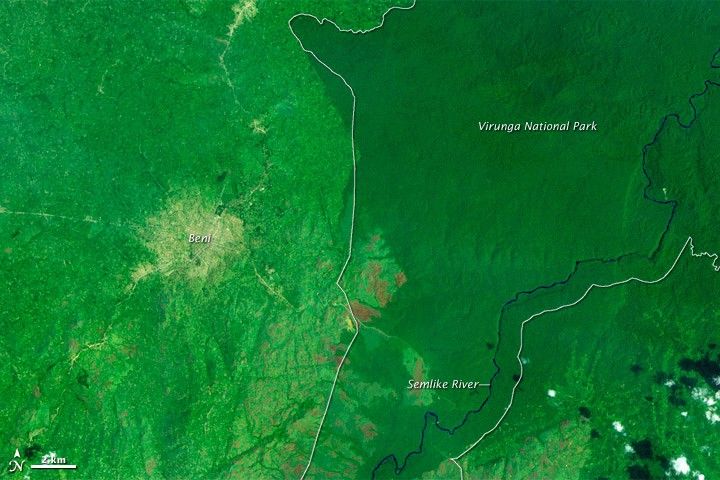 Deforestation in the Democratic Republic of the Congo