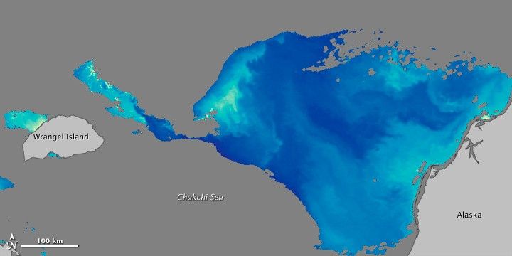 Chlorophyll - July 10, 2011