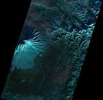 false color - December 9, 2012