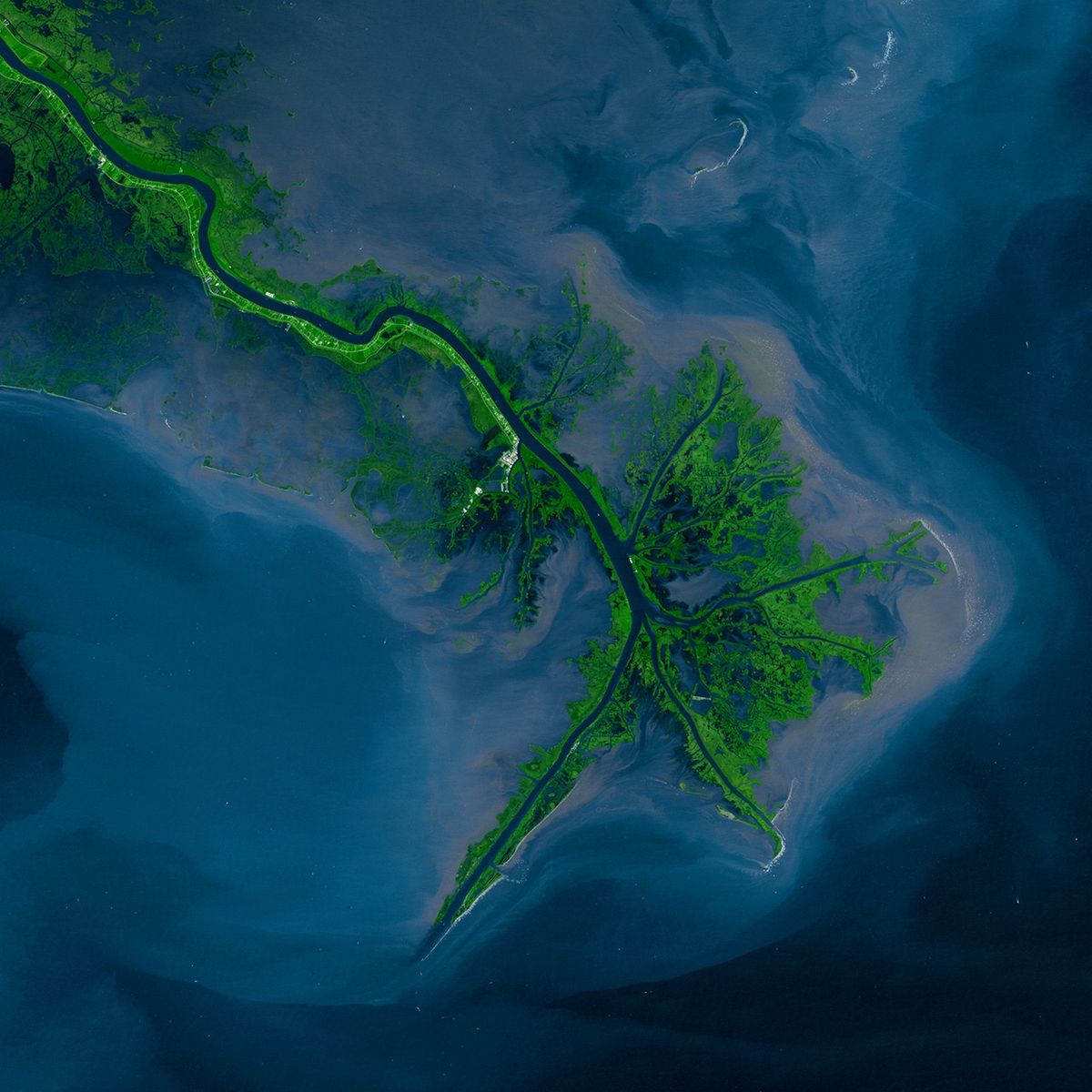 Mississippi River Delta - NASA Science