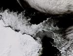 Antarctic Sea Ice