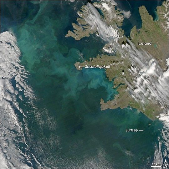 
			Ocean Color off the Icelandic Coast - NASA Science			