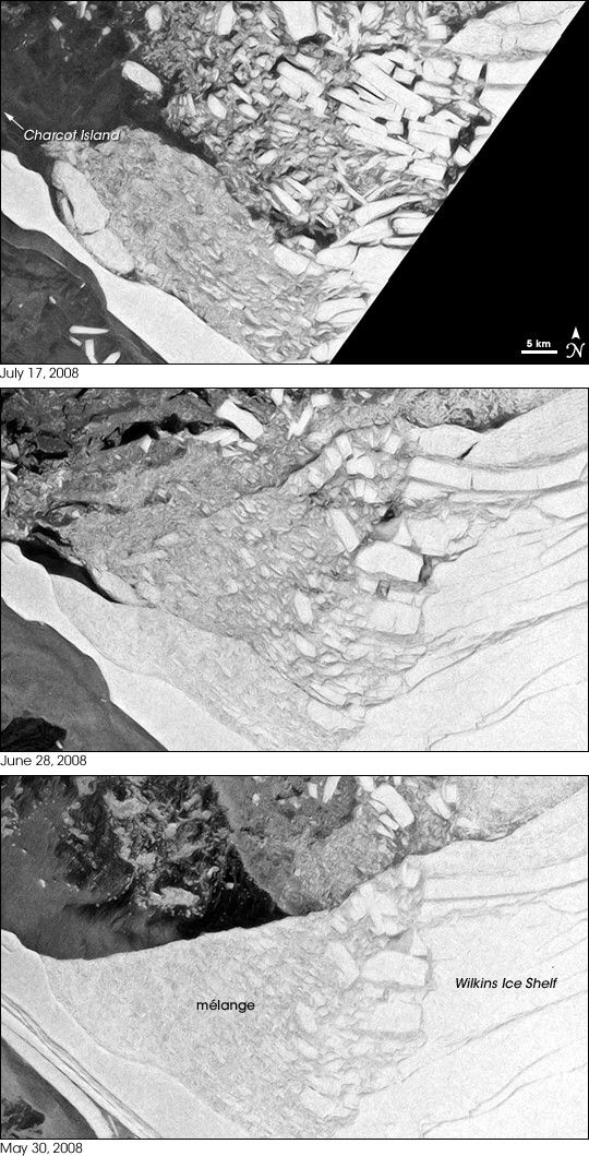Wintertime Disintegration of Wilkins Ice Shelf