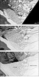 Wintertime Disintegration of Wilkins Ice Shelf