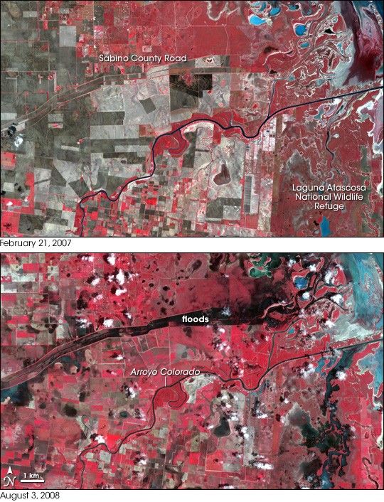 Dolly Floods Laguna Atascosa Wildlife Refuge