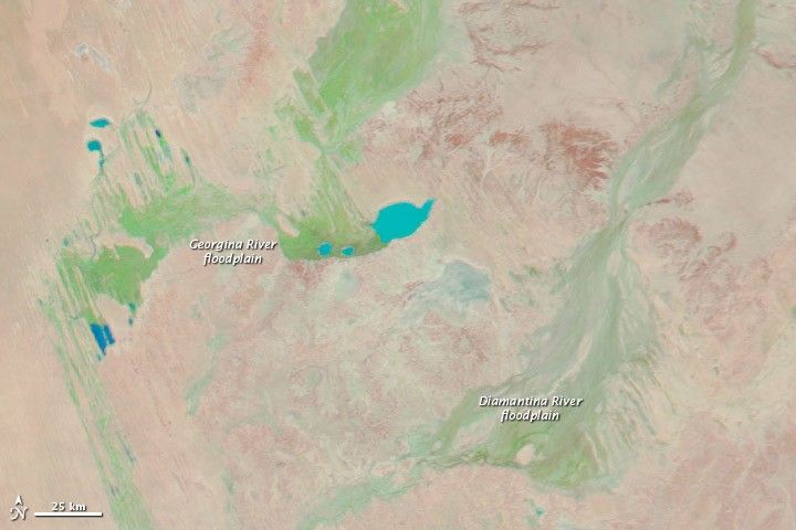 Faraway Rains Change the Channel Country