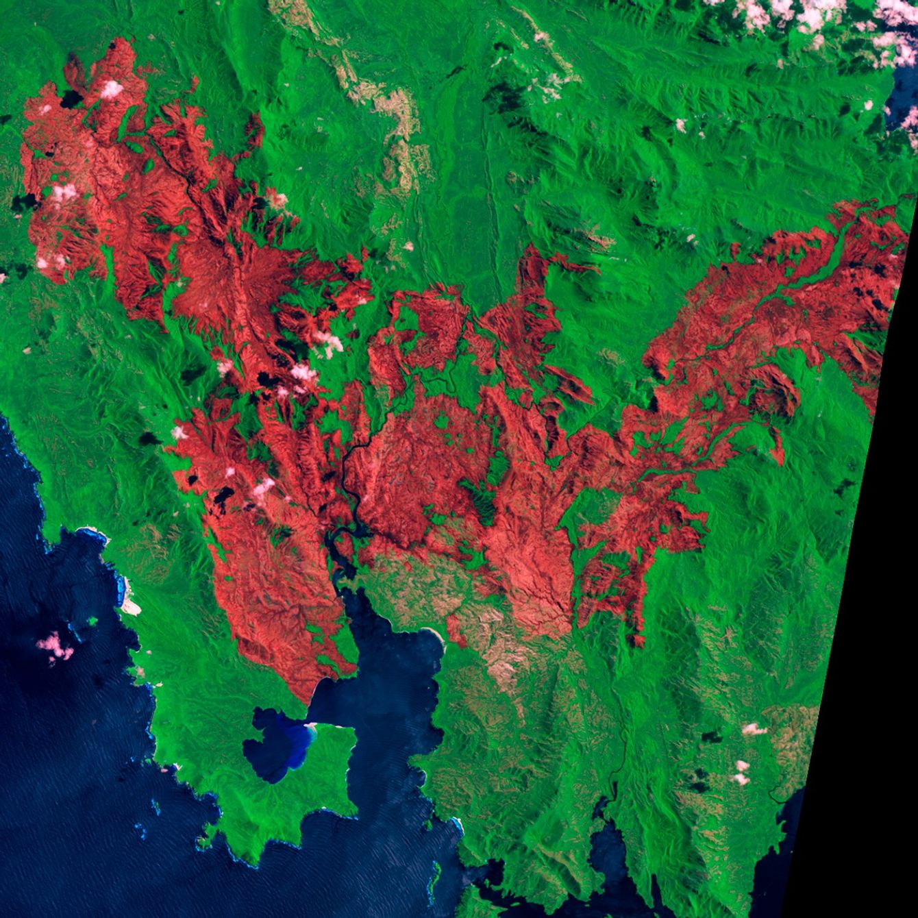false color infrared - January 23, 2013