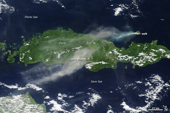 Strong Eruption at Paluweh Volcano