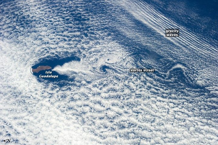 
			Cloud Swirls and Ripples, Guadalupe Island - NASA Science			