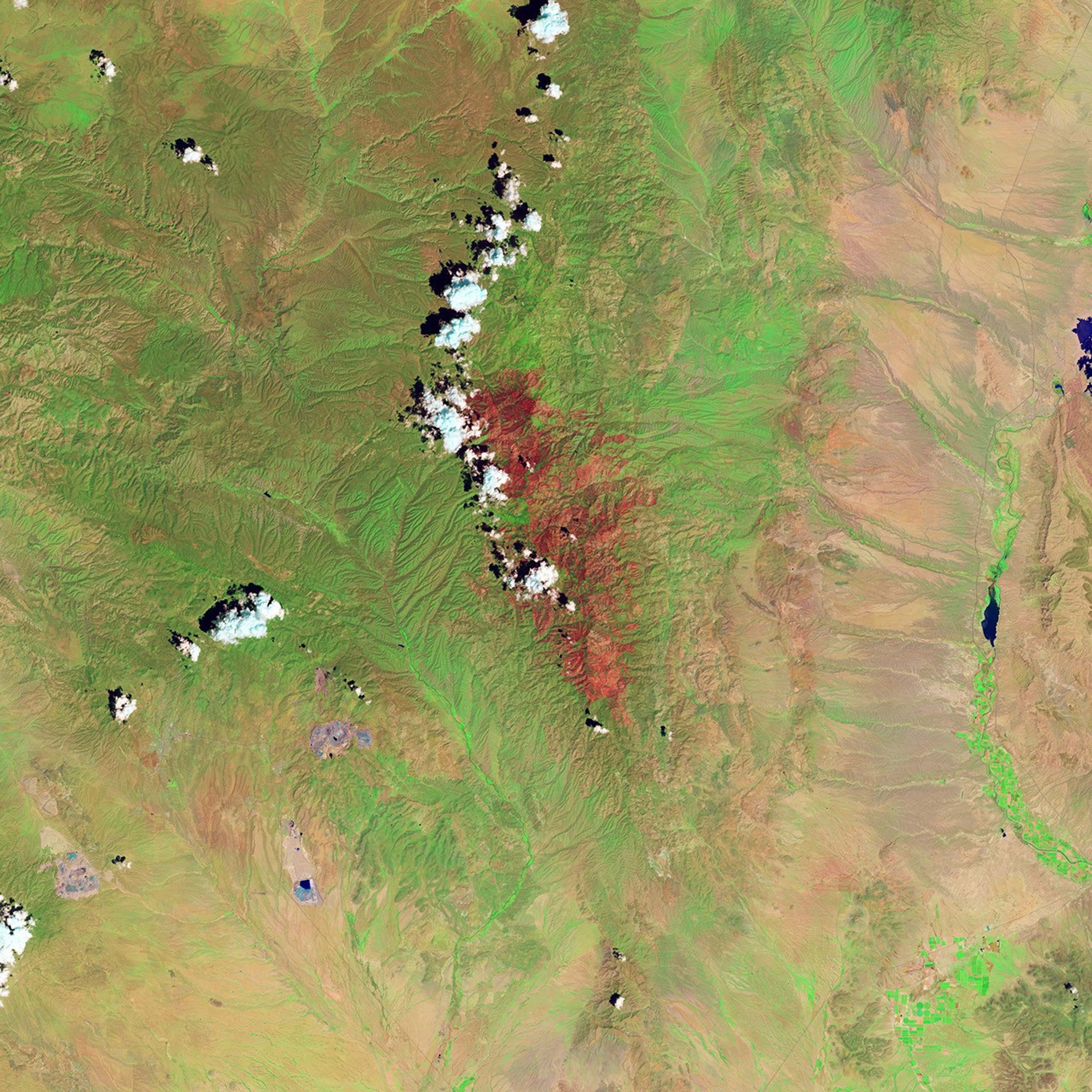 After a Fire, Before a Flood