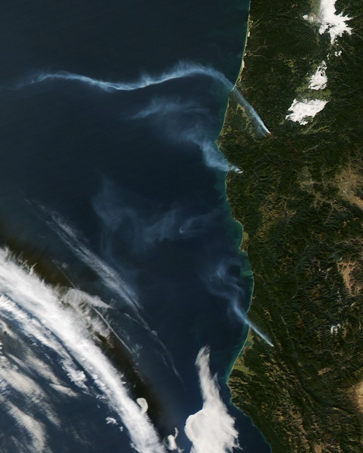 Bone Mountain Wildfire Smoke Plume - NASA Science