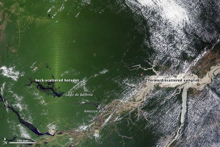 Seasonal Amazon Greening May Be a Satellite Effect