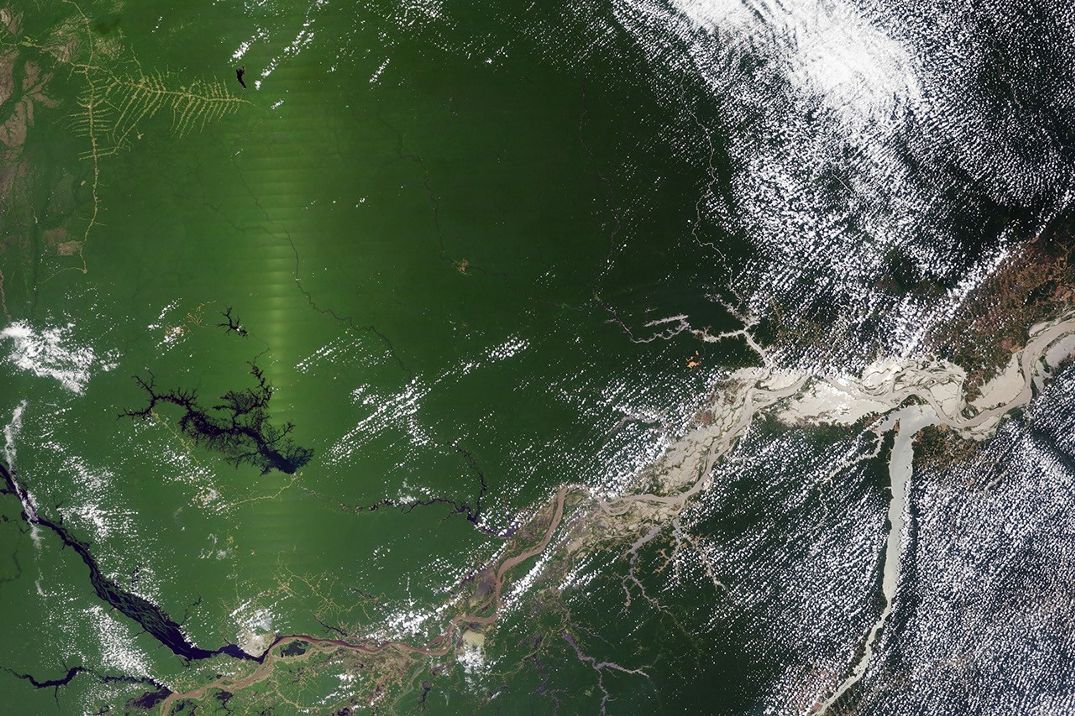 Seasonal Amazon Greening May Be a Satellite Effect