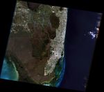 Florida Landscapes