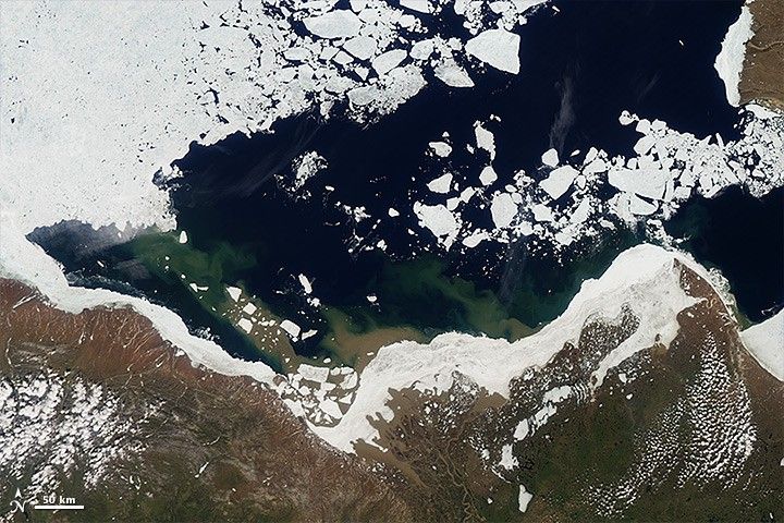 River Discharge Alters Arctic Sea Ice