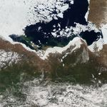 River Discharge Alters Arctic Sea Ice