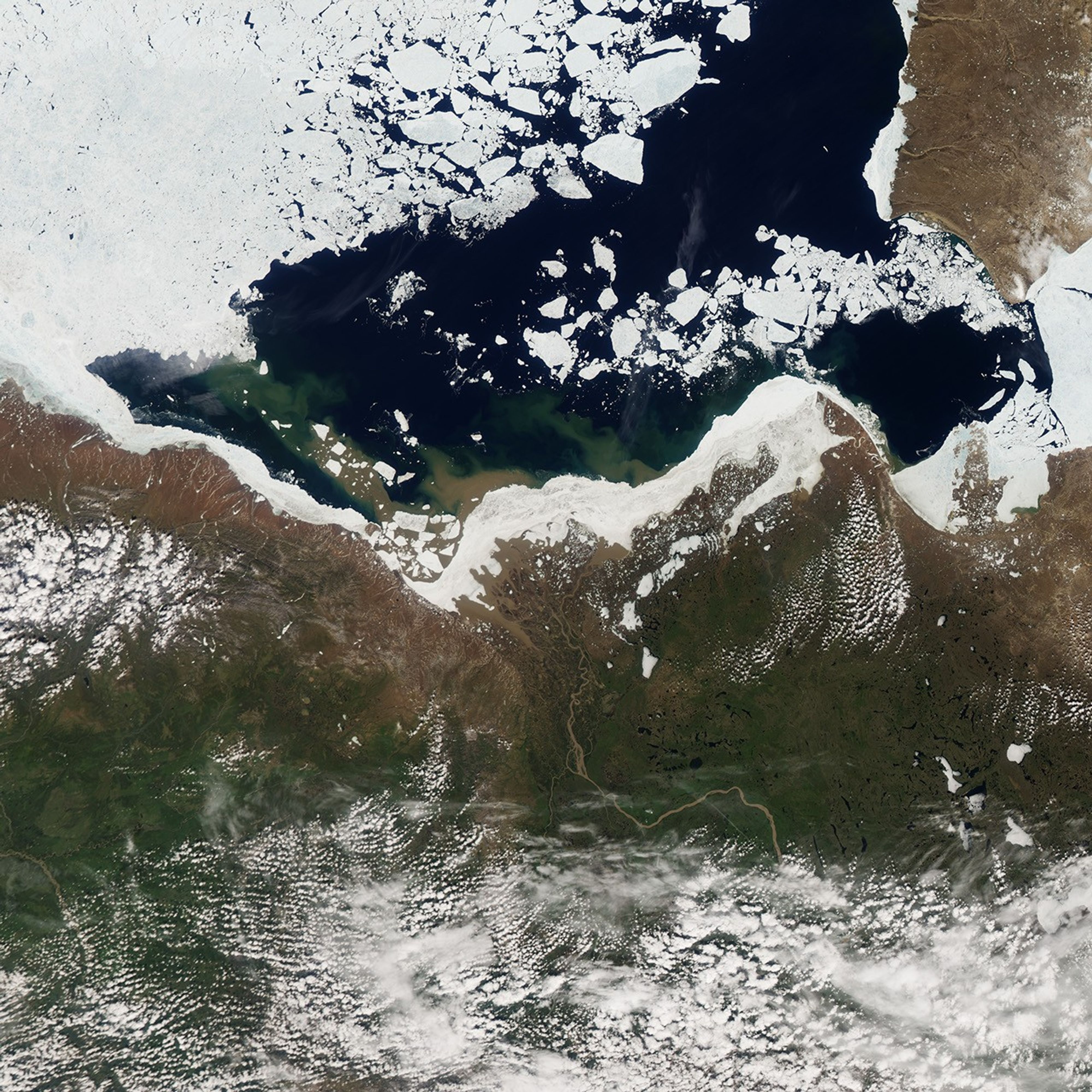 River Discharge Alters Arctic Sea Ice