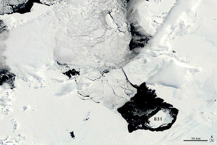 Drifting with Ice Island B31