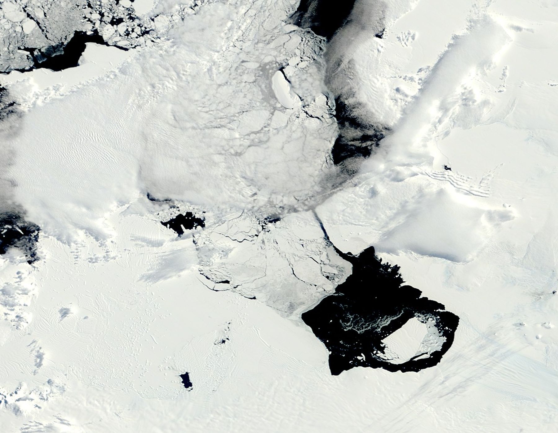 Drifting with Ice Island B31