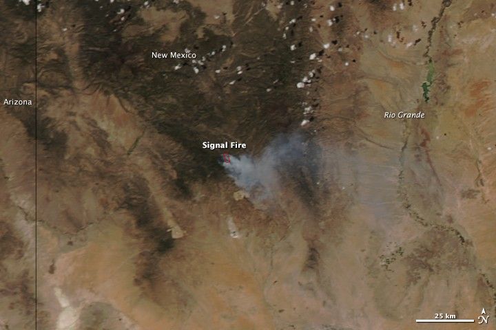 
			Signal Fire, New Mexico - NASA Science			